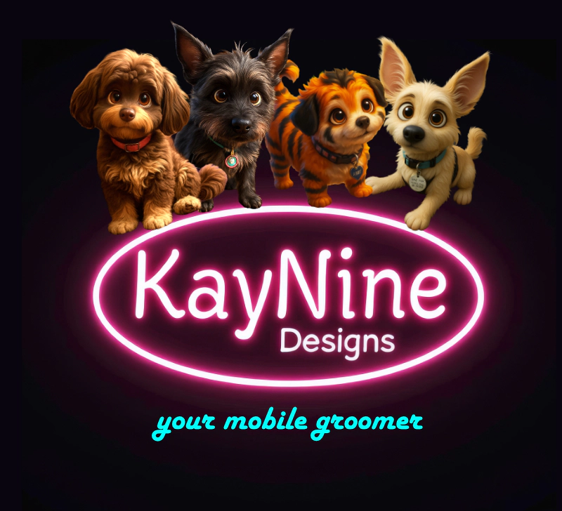 WEBP kaynine logo new willie