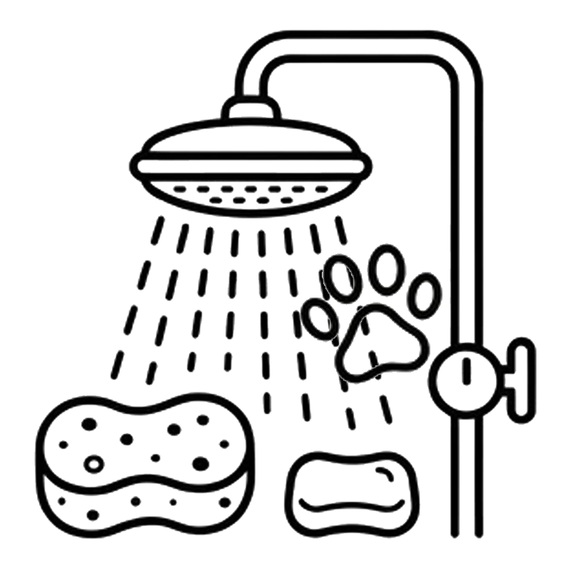 WEBP bath